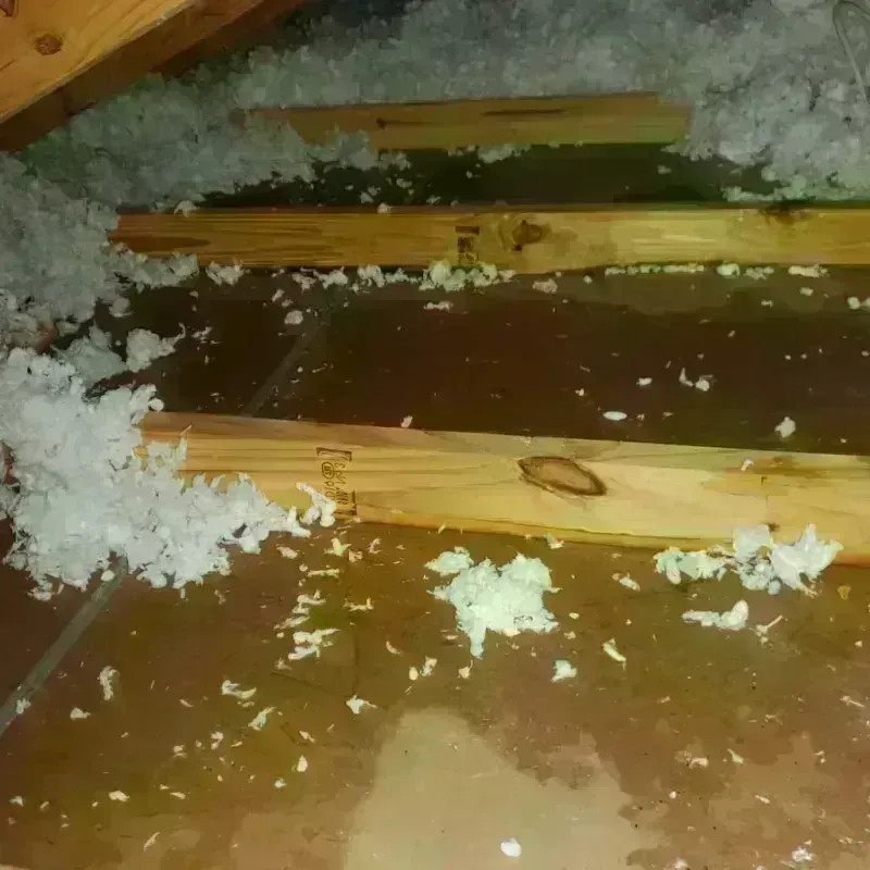 Attic Water Damage in Belleair Bluffs, FL