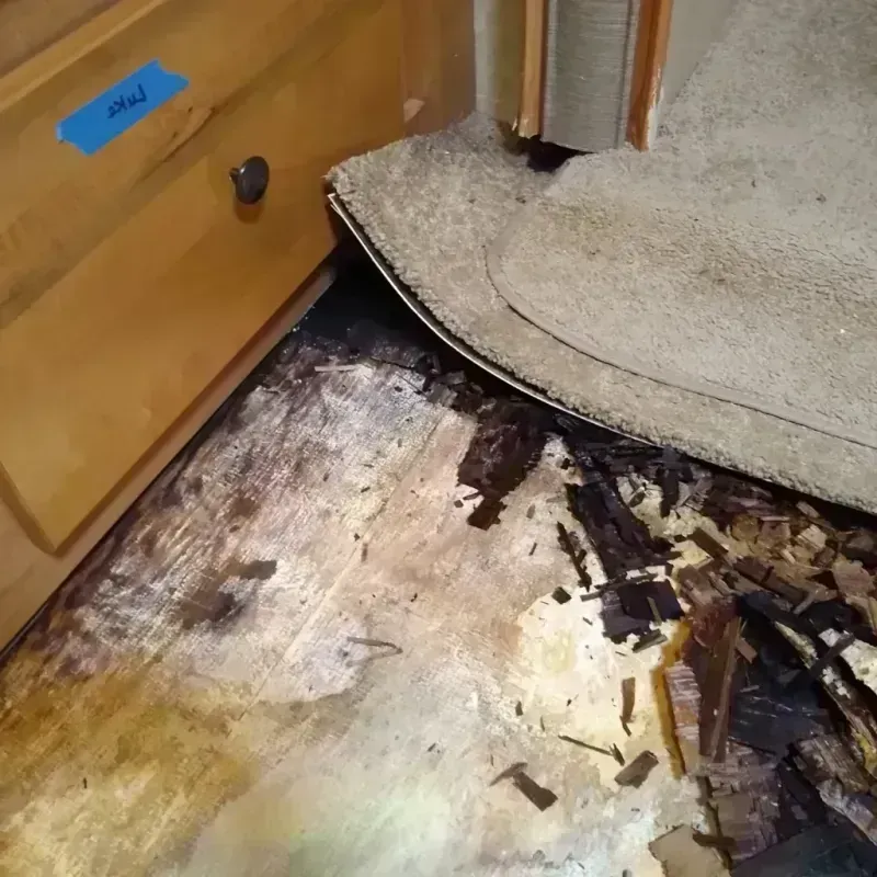 Wood Floor Water Damage in Belleair Bluffs, FL